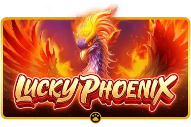 8090 game APP တွင် Live Casino နှင့် Sportsbook ကစားနေသော မြန်မာနိုင်ငံ Smartphone ကစားသမား